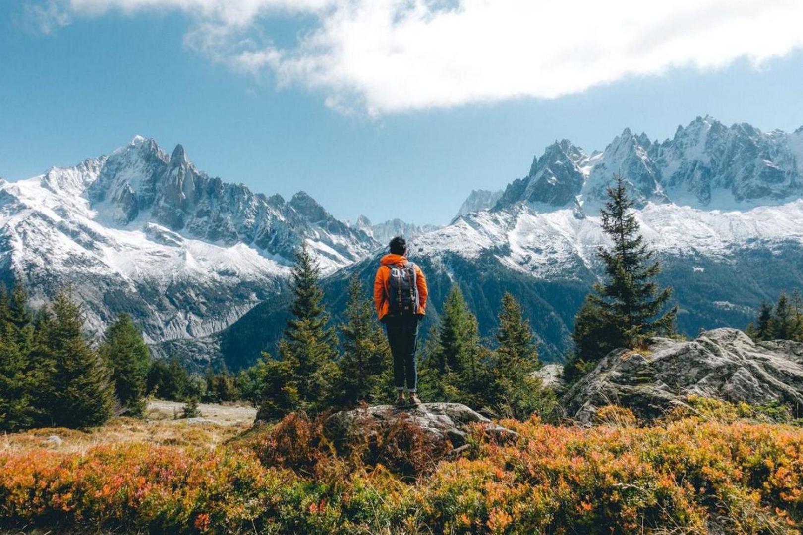 Aiglons Chamonix